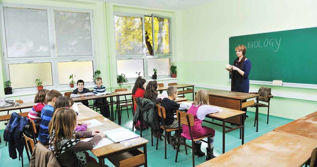 Teacher at the front of a class of tweens. The window is open and pollen from the tree outside is blowing in