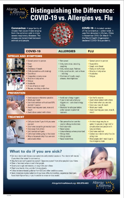 Thumbnail of Covid vs Allergies vs Flu infographic in English