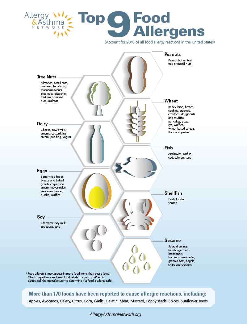 Chart of the top 9 food allergens