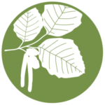 icon of alder tree