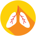 Icon of lungs for the COPD video series