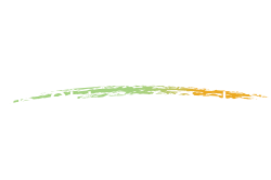 Eczema in Skin of Color logo