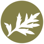 Icon of mugwort tree