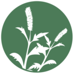 Icon of ragweed