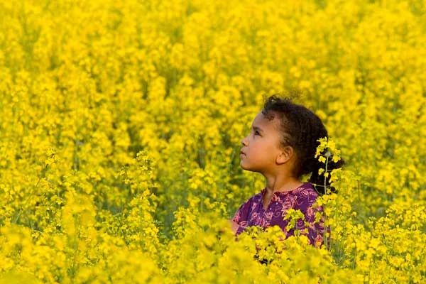 Young Black girl in a big field of yellow flowers during the spring bloom.