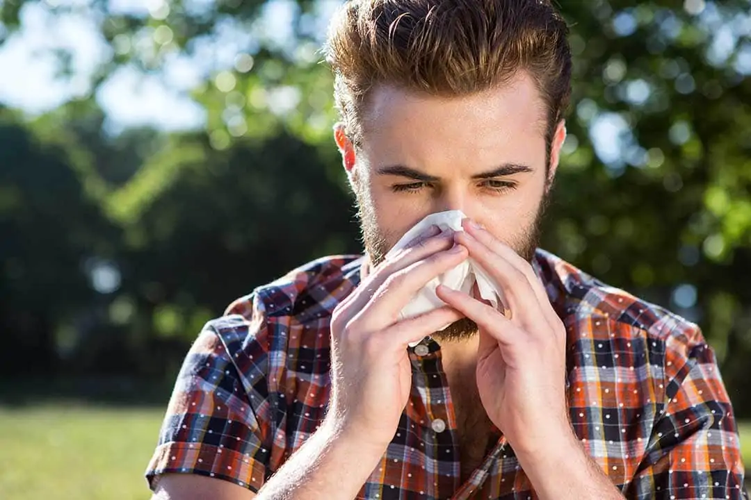 Image of a man holding a tissue to his nose because of hay allergies.