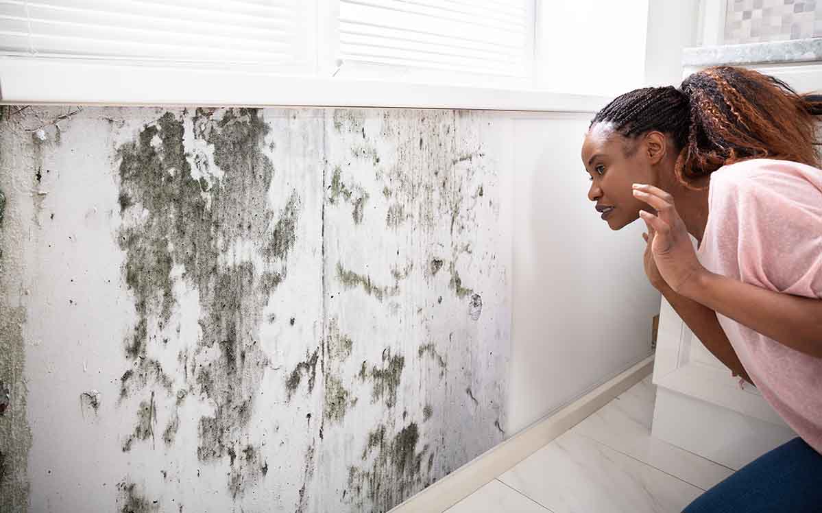 Photo of woman looking at mold on a wall