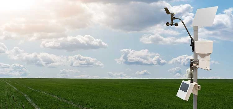 Weather monitor in a wheat field with a beautiful blue sky in the background.